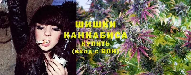 продажа наркотиков  кракен вход  Шишки марихуана Ganja  Ардатов 